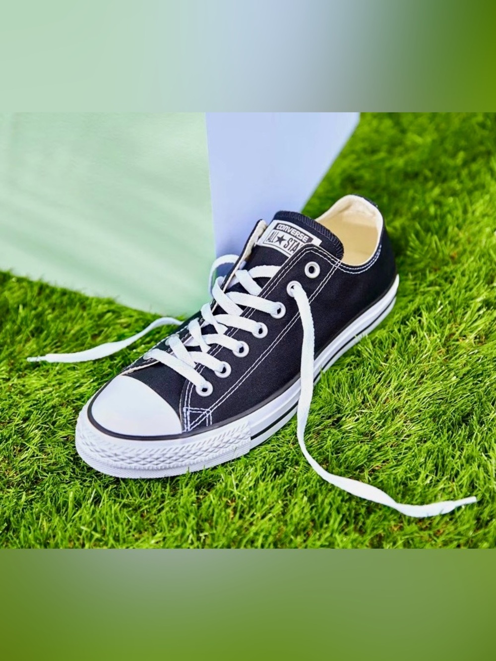 Converse Classic Chuck Black and White Low Top Canvas Sneaker